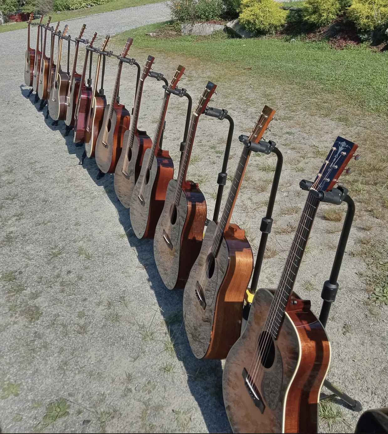 The collection lined up on Dale's driveway
